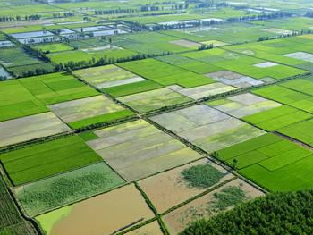 浙江省農(nóng)田建設(shè)項(xiàng)目管理實(shí)施辦法即將實(shí)施